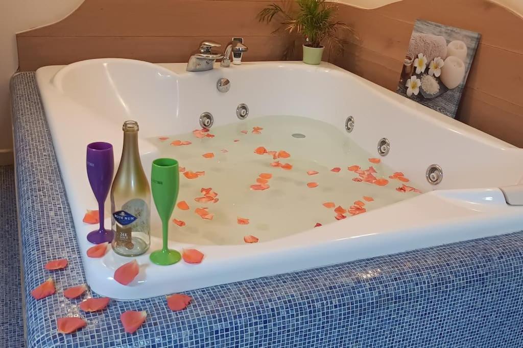 Central Terrace Escape With Jacuzzi Timisoara Exterior photo