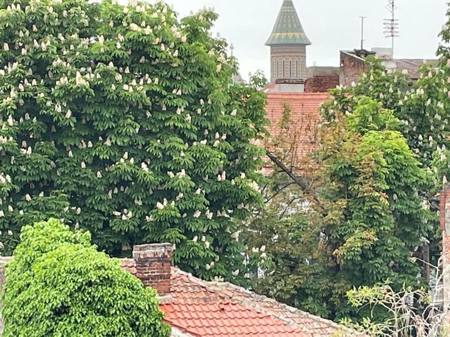 Central Terrace Escape With Jacuzzi Timisoara Exterior photo